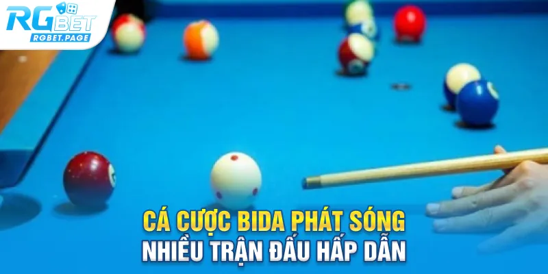 Cá cược Bida phát sóng nhiều trận đấu hấp dẫn