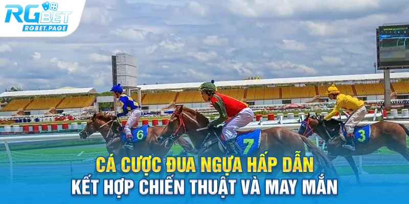 Cá cược đua ngựa hấp dẫn, kết hợp chiến thuật và may mắn