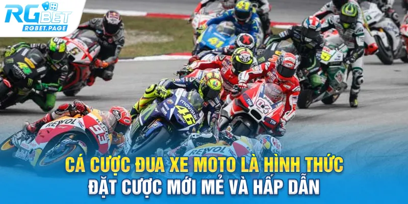 Cá cược đua xe moto là hình thức đặt cược mới mẻ và hấp dẫn