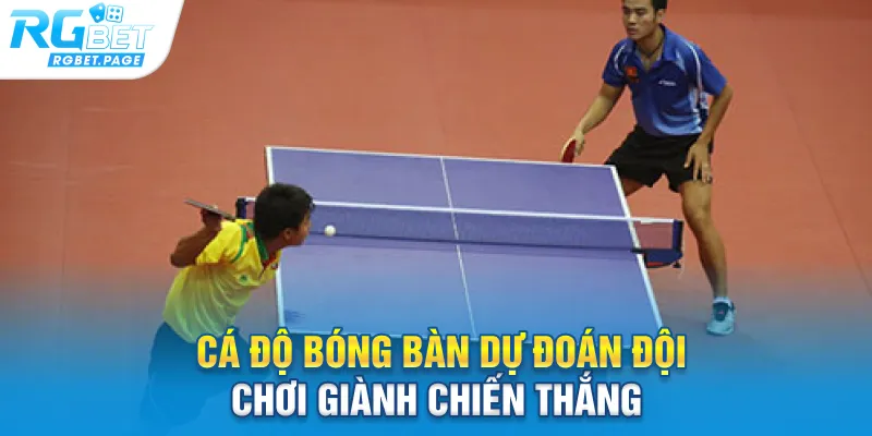 Cá độ bóng bàn dự đoán đội chơi giành chiến thắng