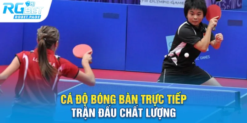 Cá độ bóng bàn trực tiếp trận đấu chất lượng