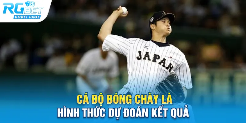 Cá độ bóng chày là hình thức dự đoán kết quả