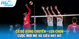 Cá độ bóng chuyền là loại hình mới mẻ với sức hấp dẫn khá lớn 