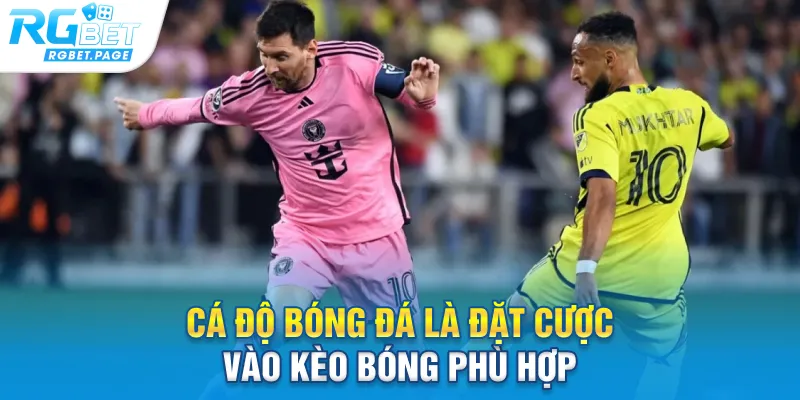 Cá độ bóng đá là đặt cược vào kèo bóng phù hợp
