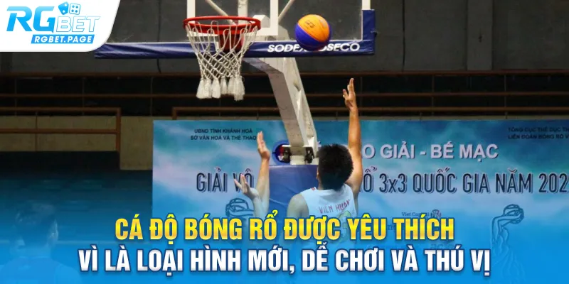Cá độ bóng rổ được yêu thích vì là loại hình mới, dễ chơi và thú vị