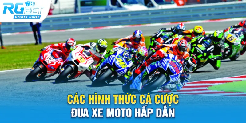 Các hình thức cá cược đua xe moto hấp dẫn