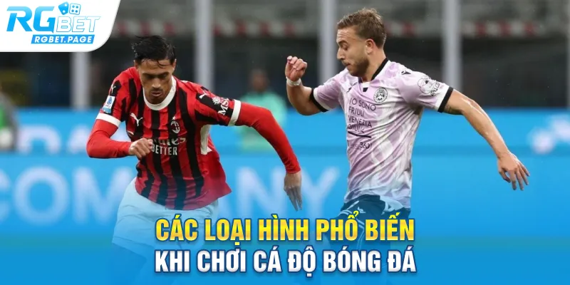 Các loại hình phổ biến khi chơi cá độ bóng đá