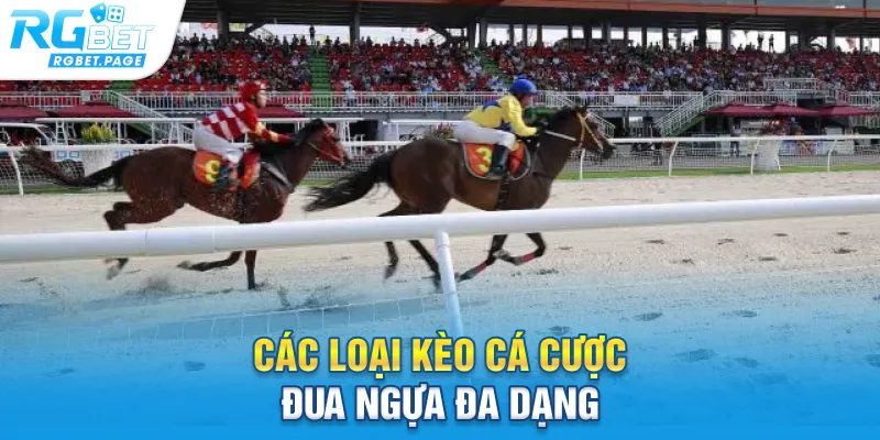 Các loại kèo cá cược đua ngựa đa dạng