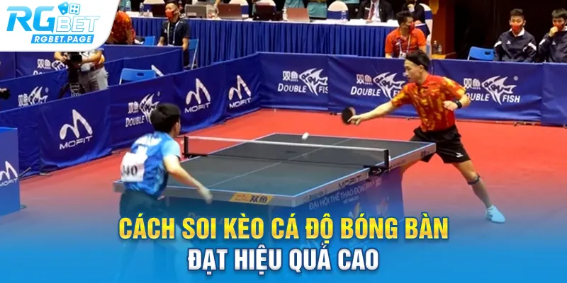 Cách soi kèo cá độ bóng bàn đạt hiệu quả cao