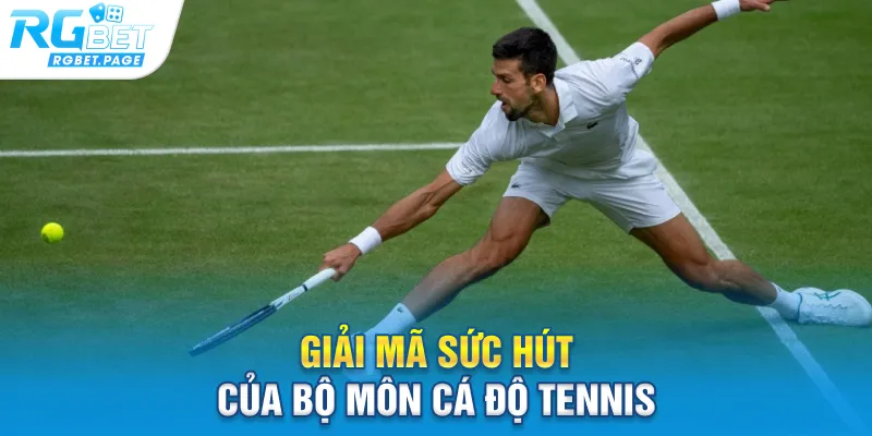 Giải mã sức hút của bộ môn cá độ tennis
