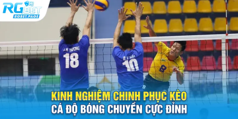 Kinh nghiệm chinh phục kèo cá độ bóng chuyền cực đỉnh