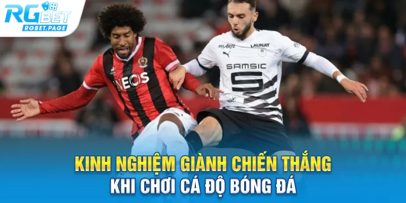 Kinh nghiệm giành chiến thắng khi chơi cá độ bóng đá