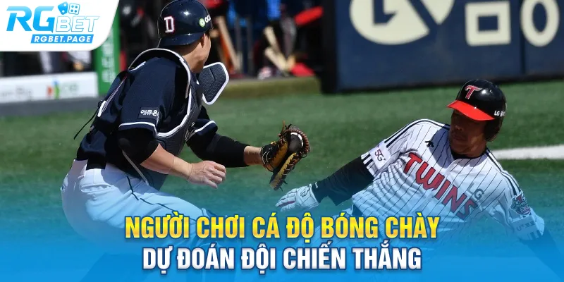 Người chơi cá độ bóng chày dự đoán đội chiến thắng