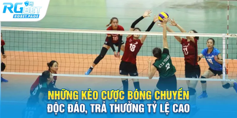 Những kèo cược bóng chuyền độc đáo, trả thưởng tỷ lệ cao