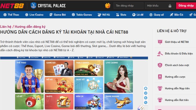Net88 có hướng dẫn đầy đủ cho người mới